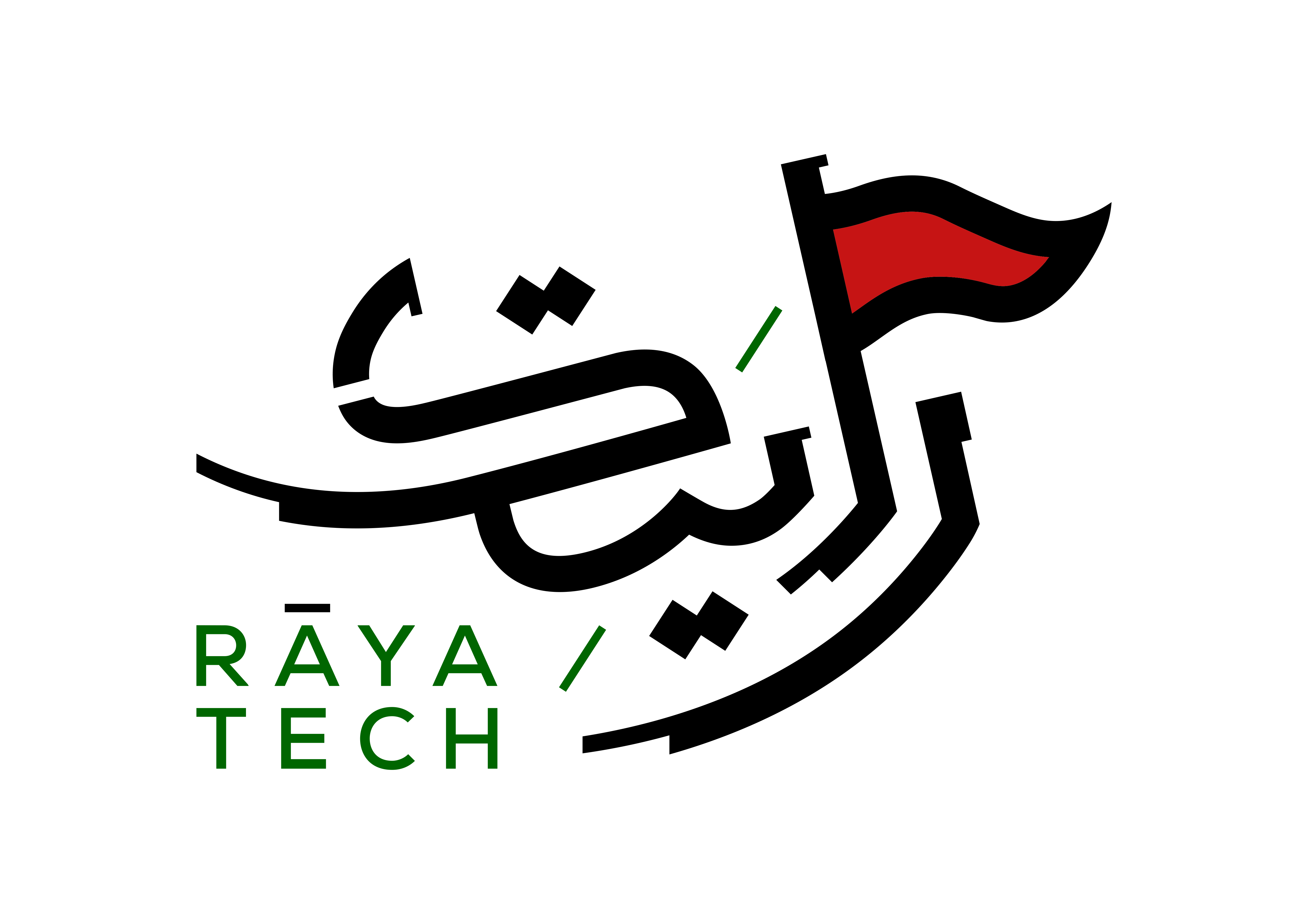 Raytech